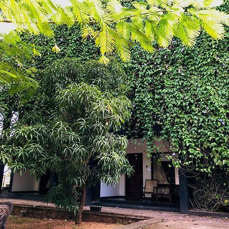 Dambulla Rock Arch Bed & Breakfast Exterior photo